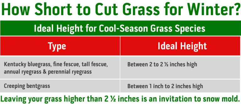 How Low To Cut Grass Before Winter