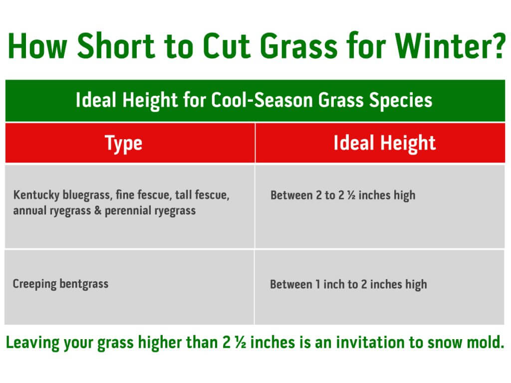 Ideal Length for Cool Season Lawn