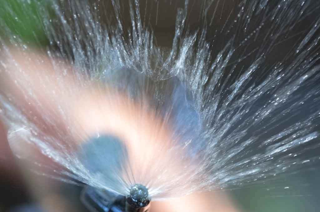 Micro Sprinkler Spraying Water