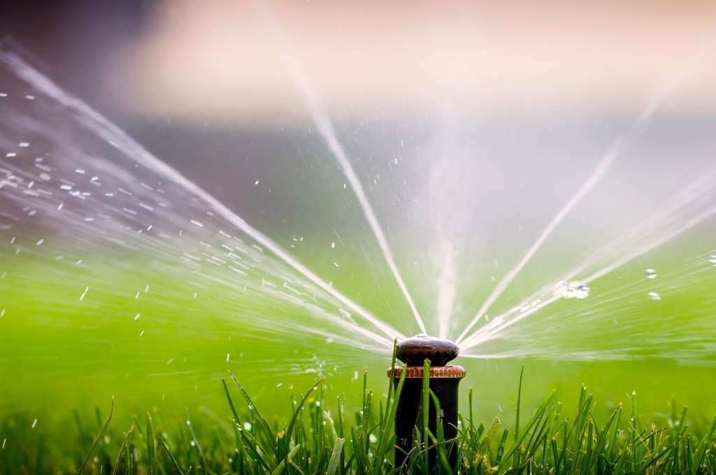 Best Time to Turn On Irrigation System