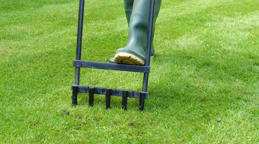 aerate your lawn to kill weeds