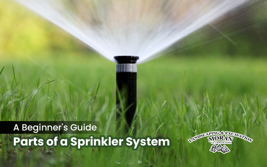 Parts of a Sprinkler System: Master Your Garden's Irrigation