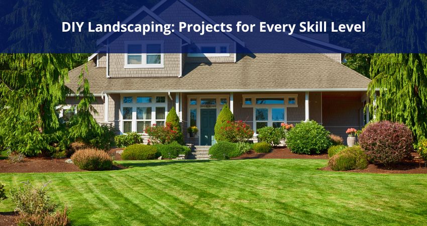 DIY Landscaping: Projects for Every Skill Level