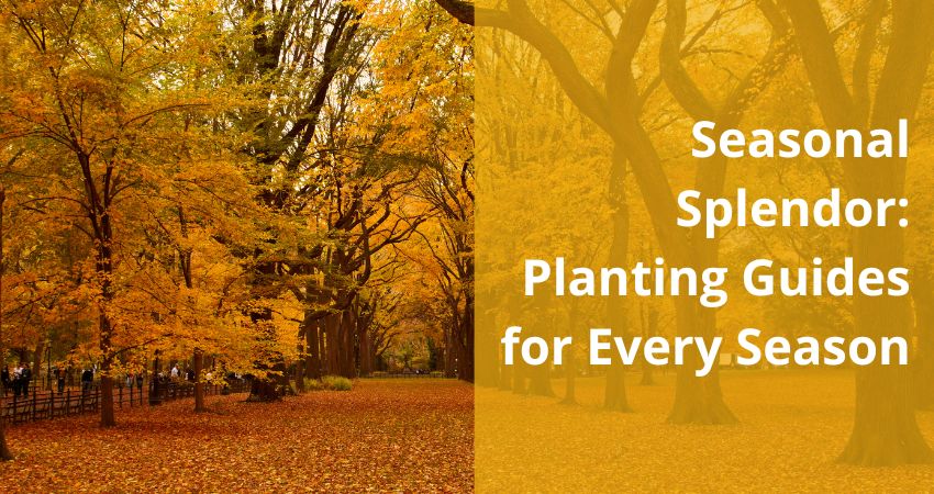 Seasonal Splendor: Planting Guides for Every Season