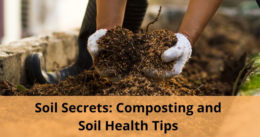 Soil Secrets: Composting and Soil Health Tips