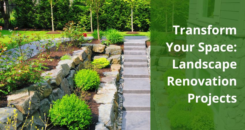 Transform Your Space: Landscape Renovation Projects