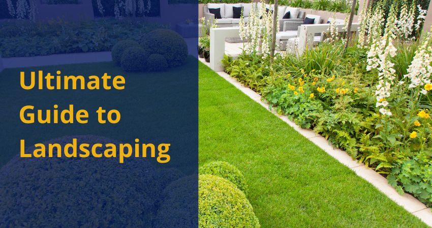 Ultimate Guide to Landscaping: Transform Your Outdoor Space with Expert Tips and Ideas