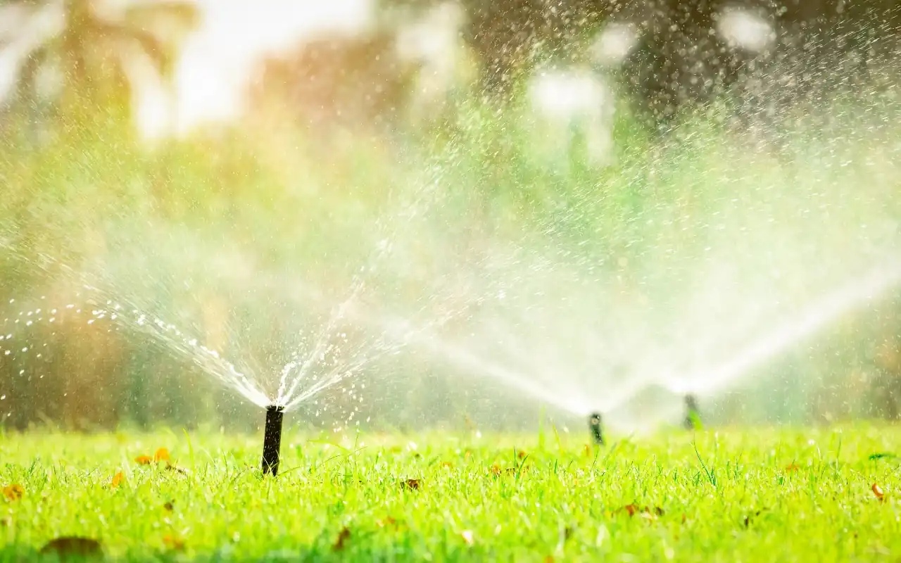 Mastering Your Garden's Irrigation