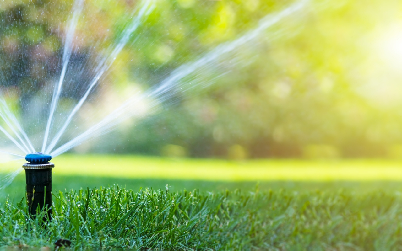 Rotary sprinkler in action on a large lawn.