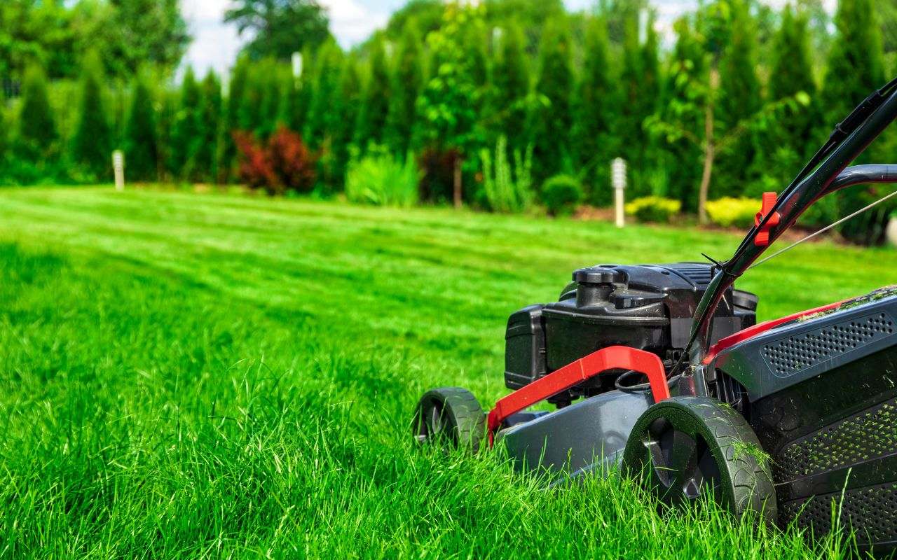 Large-scale lawn maintenance