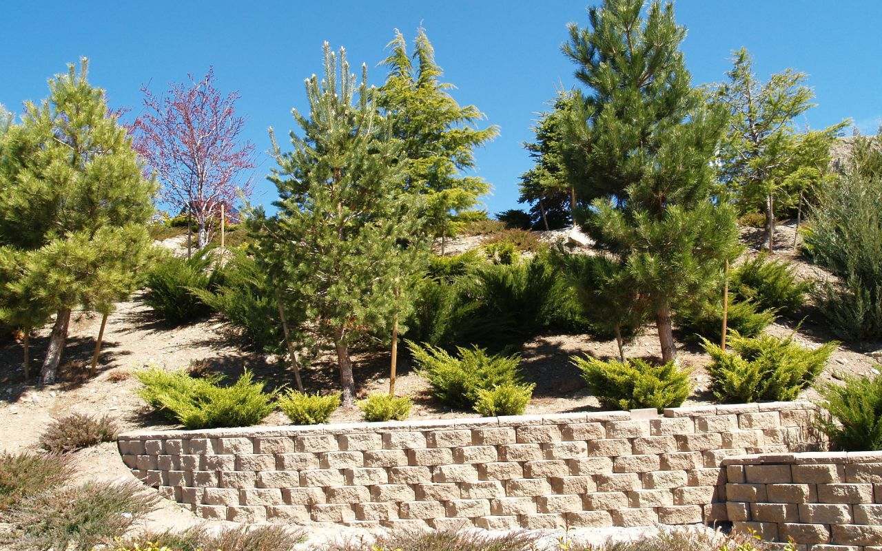 Railroad Tie Retaining Walls